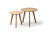 Комплект из двух круглых столиков CT-911 Дуб. Фото №6