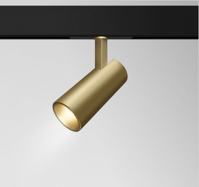 Светильник на штанге Maytoni Technical Track TR019-2-15W3K-MG. Фото