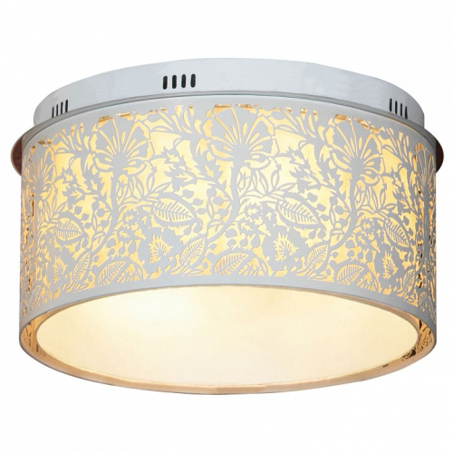 Накладной светильник Lussole Vetere GRLSF-2307-07. Фото №1