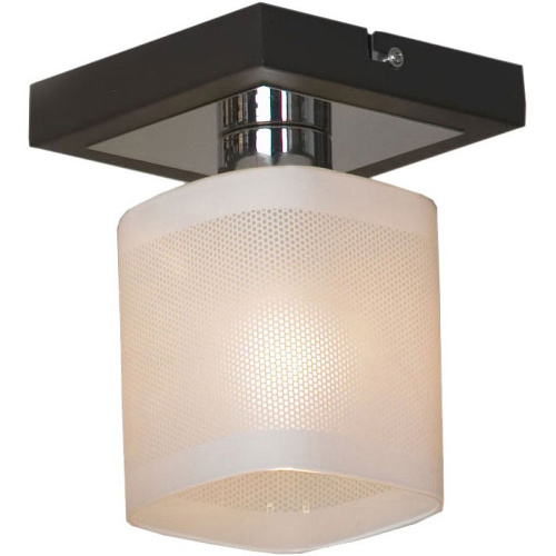 Светильник на штанге Lussole Costanzo LSL-9007-01. Фото №1