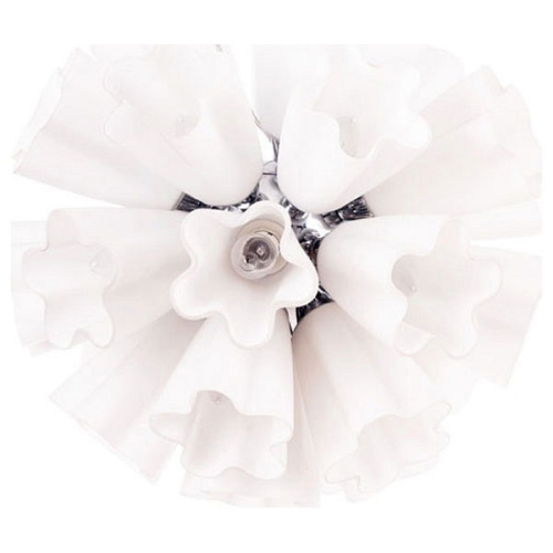 Подвесная люстра Arte Lamp Canzone A3469SP-25CC фото Подвесная люстра Arte Lamp Canzone A3469SP-25CC. Фото №1